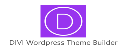 DIVI WordPress Themes Builder